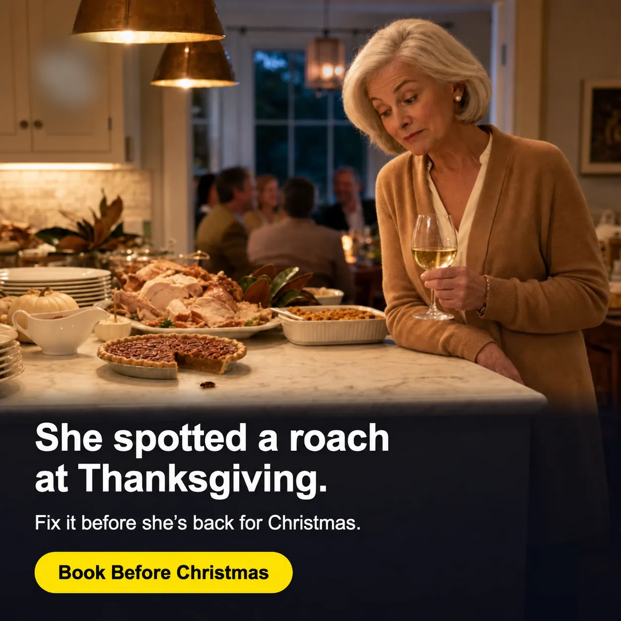 Holiday pest control ad with branding and contact details removed