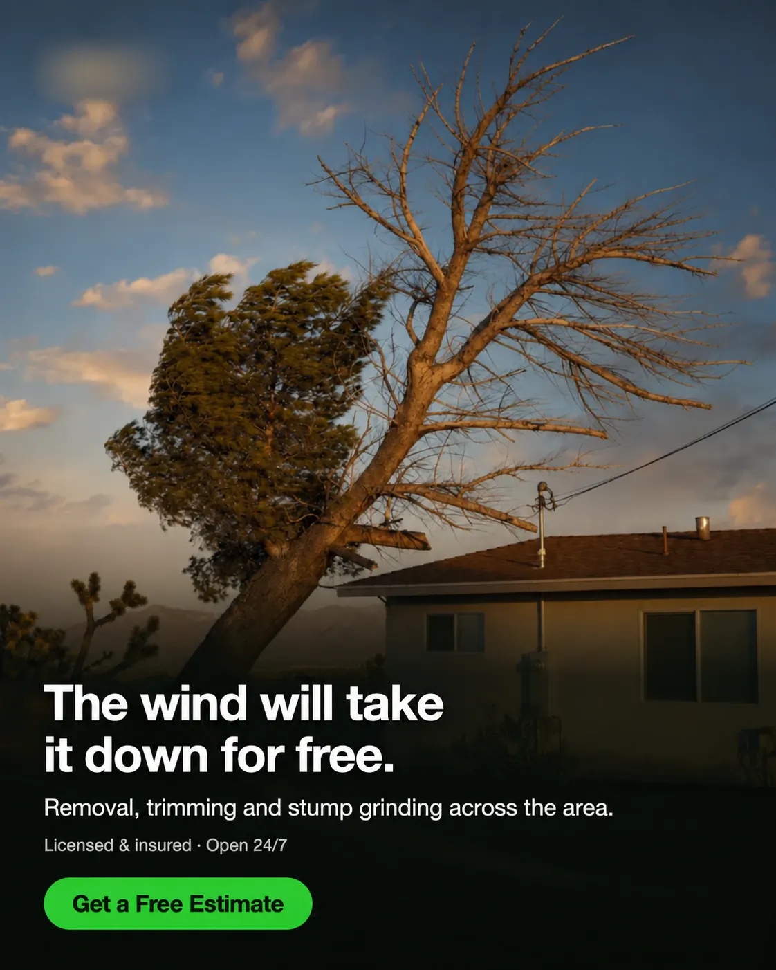 Tree service ad with branding and contact details removed